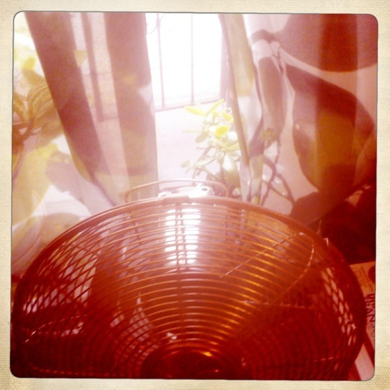 4886524292_482da3ea0f_b