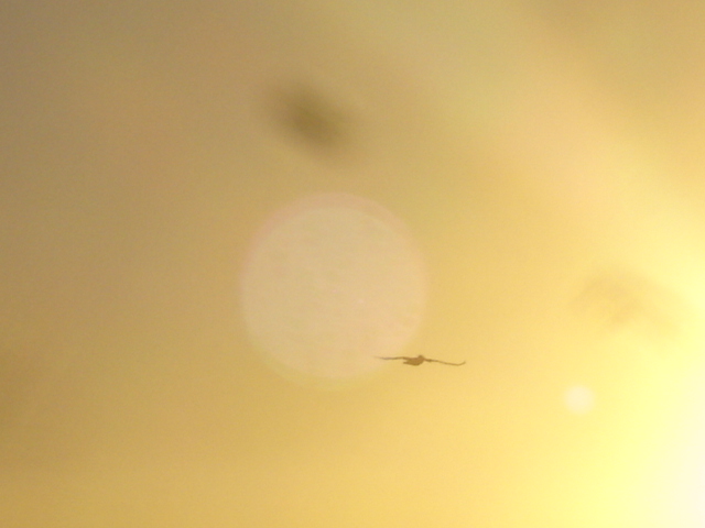 California Summer 07 315