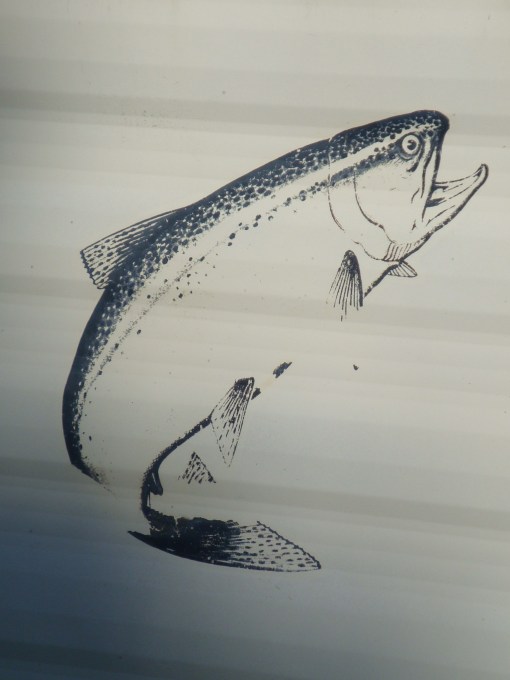 3776194584_28291ba44b_o